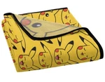 Super Plush Throw Soft & Warm 46" X 60". Fixed Price $30.00.