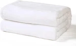 Queen Fleece Blanket Super Soft Warm All Season Lightweight Plush Throw For Bed. Fixed Price $27.99.