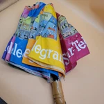 Vintage Star-telegram Newspaper Umbrella Comic Strip Peanuts, Snoopy. Fixed Price $25.00.