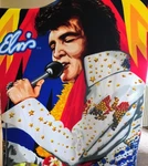 The Northwest Company Elvis Presley Polyester Blanket Multicolor Pictorial. Fixed Price $30.00.