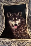 Shavel Throw Blanket Wolf Husky 58X78 Fleece Rustic Cabin Vintage. Fixed Price $64.99.
