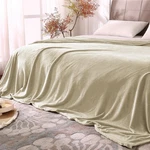 Bedelite Fleece Blankets Queen Size Linen Throw For Bed, Luxury Plus.... Fixed Price $42.35.