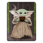 Star Wars: The Mandalorian Quiet Soup Micro Raschel Throw Blanket. Fixed Price $22.46.