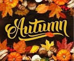 Autumn Fall Leaves Holiday Usa Old Style Flag Deluxe Polar Fleece 50"X60 Blanket. Fixed Price $22.88.