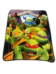 Teenage Mutant Ninja Turtles Fleece Throw Blanket Northwest Nickolodeon Tmnt. Fixed Price $15.99.