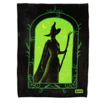 Collectibles Wicked Elphaba Bedding Super Soft Cozy Throw, 46 X 60 In, (of.... Fixed Price $36.50.