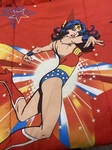 Vintage Wonder Woman Dc Comics Twin Size Comforter Blanket Bedding Old Logo. Fixed Price $79.95.