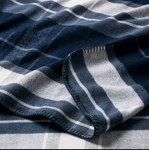 Full/queen Brushed Cotton Blanket Blue Plaid - Threshold. Fixed Price $24.98.