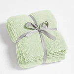 Cymula Knit Throw Blanket Mint Green Lightweight Plush 50X60 Inches. Fixed Price $18.95.