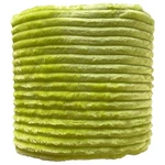 The Big One Oversized Lime Green Ribbed Microplush Throw Blanket - 5FT X 6FT. Fixed Price $31.88.