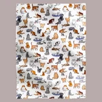 New Nwt Vera Bradley Cat's Life Cream Oversized Throw Blanket 66 X 94 Soft!. Fixed Price $69.99.