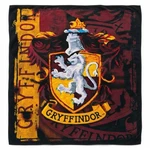 Harry Potter Gryffindor Plush Throw Blanket The Northwest Soft Fleece. Fixed Price $19.96.