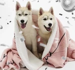 Victoria's Secret Pink Script Sherpa Blanket Black Logo 50 X 60. Fixed Price $45.95.
