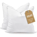 Bhz Euro Throw Pillow Inserts, 22X22 Down Inch (pack Of 2), White. Fixed Price $61.93.