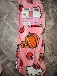 Sanrio Hello Kitty Pink Halloween Pumpkin Fall Plush Throw Blanket 50X70 2025. Fixed Price $37.99.