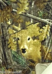 Deer In Woods Camouflage Huntsman Luxury Sherpa Throw Soft Blanket 50"X70". Fixed Price $39.95.