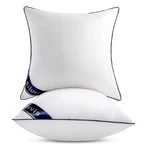 Siluvia 22"X22" Insert Set Of Square Throw Pillows With 100% Cott.... Fixed Price $37.58.