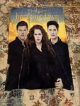 Twilight Breaking Dawn Fleece Throw Blanket Neca Vguc 50 X 60 2012. Fixed Price $44.99.