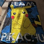 Pokemon Pikachu Throw Blanket Northwest Co. Fleece 80 X 60 Clean Legendary. Fixed Price $29.99.