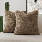 Foindtower 2 Pieces Teddy Faux Fur Throw Pillow Cover Decorative Sherpa. Fixed Price $25.06.