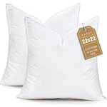 Bhz Euro Throw Pillow Inserts, 22X22 Down Inch (pack Of 2), White. Fixed Price $68.64.