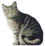 Manual Cat Shaped Pillow, 11 X 16-INCH Count (pack Of 1), Gray. Fixed Price $46.99.