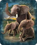 Queen Size Playful Elephants Collage Lucky Super Soft Faux Fur Plush Blanket. Fixed Price $64.99.
