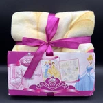 Disney Princess Dreamland Reversible Fleece Activity Throw Aprox 48 60 New. Fixed Price $23.99.