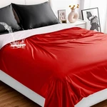 Tisancy Waterproof Blanket Queen Size, Red Tpu Polyester 78'' X 82'',. Fixed Price $29.79.