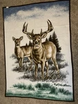 Biederlack Buck & Doe Deer Reversible Fuzzy Blanket Usa Hunting Hautman. Fixed Price $54.99.