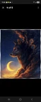 Dawhud Direct Golden Moon Wolf 50X60 Fleece Throw Blanket. Fixed Price $15.00.