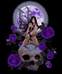 Plush Queen Size Mythical Blanket - Extremely Soft Twilight Rose Fairy. Fixed Price $59.99.