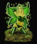 Nu Trendz Heavy Weight Weed Fairy Mink Blanket Queen Signature Collection. Fixed Price $55.95.