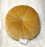16 Round Velvet Quilted Decorative Throw Pillow - Light Brown Threshold. Fixed Price $18.00.