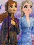 Weighted Blanket Kids 4.5 Lbs. Size 36 X 48 Ages 6+ Disney's Frozen 2 Elsa Anna. Fixed Price $95.00.