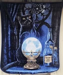 Lisa Parker Witches Apprentice Cat Crystal Ball Queen Size Blanket. Fixed Price $59.14.