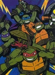 Teenage Mutant Ninja Turtles Throw Blanket - Soft Fluffy & Warm 60"X80". Fixed Price $59.99.