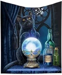 Magical Black Cat Witches Apprentice Silk Touch Throw Blanket 50X60 Lisa Parker. Fixed Price $44.00.