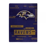 Baltimore Ravens Nfl 60" X 80" Plush Throw Blanket Northwest Company. Fixed Price $59.99.