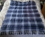 Pendleton 100% Virgin Wool Tartan Plaid Fringe Blanket Throw Blue White 60 X 50. Fixed Price $60.00.