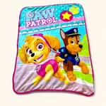 Paw Patrol Nickelodeon Toddler Baby Kids Character Micro Fleece Throw Blanket. Fixed Price $15.00.