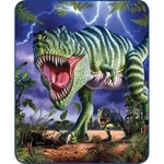 Queen Size Dinosaur Rex Tyrannosaurus Big Time Faux Fur Soft Plush Blanket. Fixed Price $59.99.