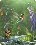 Queen Hummingbird Butterfly Flower Hosta Garden Mink Super Soft Faux Fur Blanket. Fixed Price $64.99.