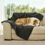 Amazon Basics Dog Blanket For Sofa Bed Couch, Washable Reversible Large, Grey. Fixed Price $24.67.
