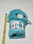 Squishmallows Tatiana The Dragon Hooded Throw Blanket 30" 50" Jazwares 2024 Nwt. Fixed Price $30.36.