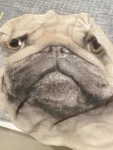 Vintage Pug Dog Face Fleece Throw Just Funky 50X60 Blanket. Fixed Price $20.00.
