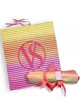Nwt Victoria's Secret Vs Beach Roll Up Outdoor Travel Blanket Limited Edition. Fixed Price $29.99.