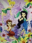 Disney Tinkerbell Spring Pixies Big Soft Plush Kids Northwest Throw Bed Blanket. Fixed Price $47.45.