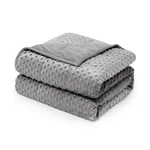 Wemore Minky Dot Weighted Blanket For Adults Queen Size 15 Lbs, Sof... Fast Ship. Fixed Price $56.96.