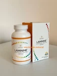 Lifepharm Laminine Supplement Big Bottle X 120 Caps.. Fixed Price $123.95.
